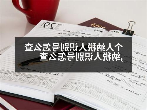 个人纳税人识别号怎么查,纳税人识别号怎么查