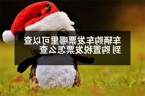 车辆购车发票哪里可以查到 购置税发票怎么查