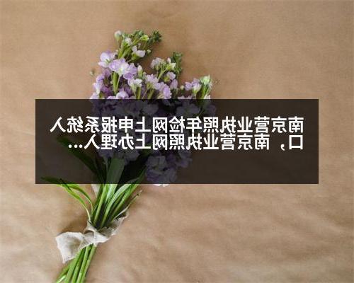 南京营业执照年检网上申报系统入口，南京营业执照网上办理入口