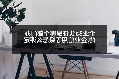 企业3a认证是哪个部门办的,企业信用等级怎么评定