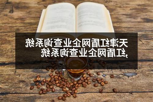 天津红盾网企业查询系统,红盾网企业查询系统