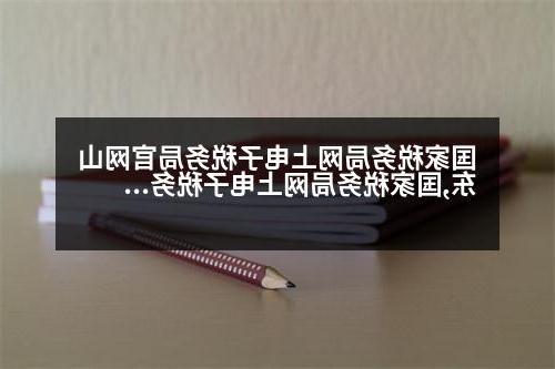 国家税务局网上电子税务局官网山东,国家税务局网上电子税务局